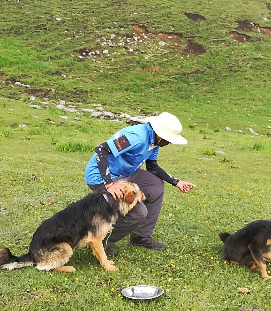 A four-legged trail companion, Buran Ghati